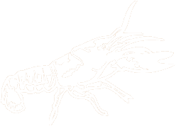Crayfish Icon