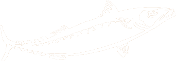 Mackerel Icon